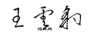 駱恆光王雲豹草書個性簽名怎么寫