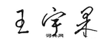 駱恆光王宇果草書個性簽名怎么寫