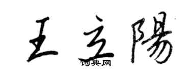 王正良王立陽行書個性簽名怎么寫
