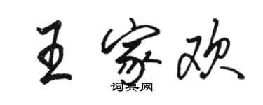 駱恆光王家歡行書個性簽名怎么寫