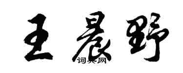 胡問遂王晨野行書個性簽名怎么寫