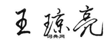 駱恆光王瓊亮行書個性簽名怎么寫