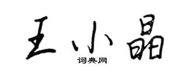 王正良王小晶行書個性簽名怎么寫