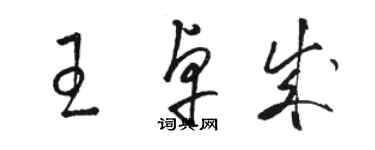 駱恆光王卓成草書個性簽名怎么寫