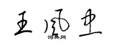 梁錦英王風忠草書個性簽名怎么寫