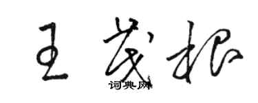 駱恆光王茂根草書個性簽名怎么寫