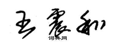 朱錫榮王震和草書個性簽名怎么寫