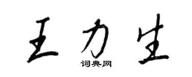 王正良王力生行書個性簽名怎么寫