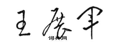 駱恆光王展軍草書個性簽名怎么寫