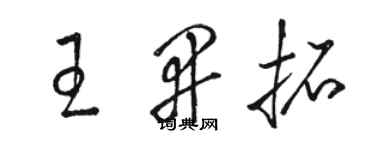 駱恆光王開拓草書個性簽名怎么寫