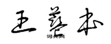 曾慶福王藍本草書個性簽名怎么寫