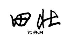 朱錫榮田壯草書個性簽名怎么寫