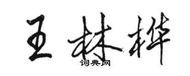 駱恆光王林樺行書個性簽名怎么寫