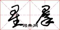 朱錫榮星群草書怎么寫