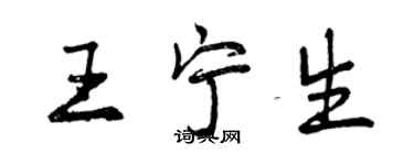 曾慶福王寧生行書個性簽名怎么寫