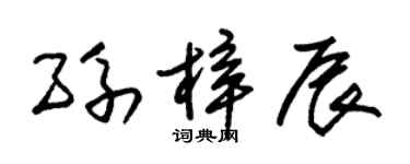 朱錫榮孫梓辰草書個性簽名怎么寫