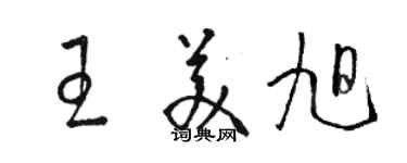 駱恆光王美旭草書個性簽名怎么寫