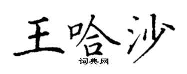 丁謙王哈沙楷書個性簽名怎么寫