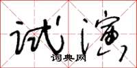 王冬齡試演草書怎么寫