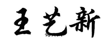 胡問遂王藝新行書個性簽名怎么寫