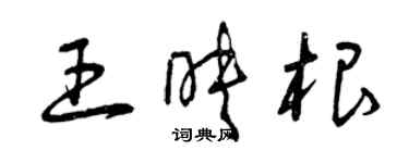 曾慶福王映根草書個性簽名怎么寫