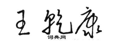 駱恆光王乾康草書個性簽名怎么寫