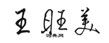 駱恆光王旺美行書個性簽名怎么寫