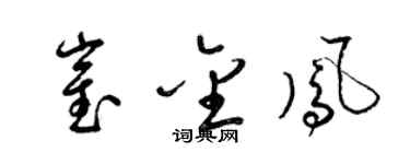 梁錦英崔金鳳草書個性簽名怎么寫