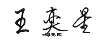 駱恆光王奕星行書個性簽名怎么寫