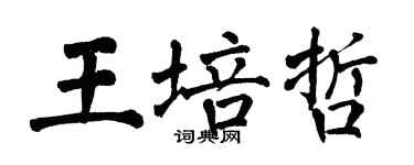 翁闓運王培哲楷書個性簽名怎么寫