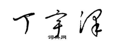 梁錦英丁宇澤草書個性簽名怎么寫