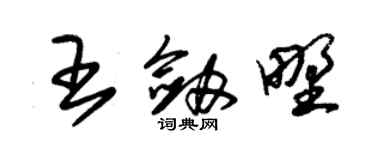 朱錫榮王劍野草書個性簽名怎么寫
