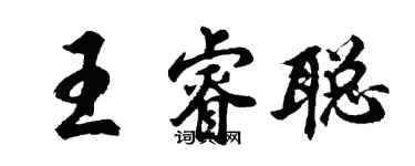 胡問遂王睿聰行書個性簽名怎么寫