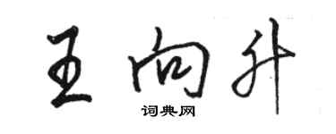 駱恆光王向升行書個性簽名怎么寫