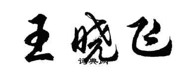 胡問遂王曉飛行書個性簽名怎么寫