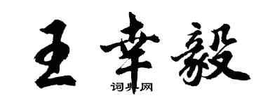胡問遂王幸毅行書個性簽名怎么寫