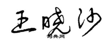 曾慶福王曉沙草書個性簽名怎么寫