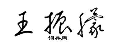 梁錦英王振朦草書個性簽名怎么寫