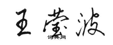 駱恆光王瑩波行書個性簽名怎么寫