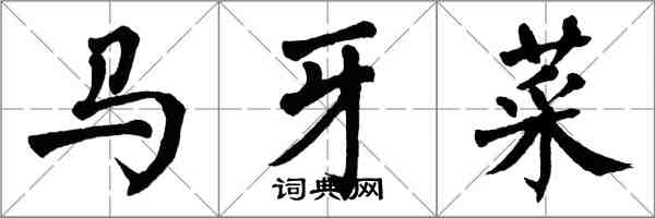 翁闓運馬牙菜楷書怎么寫