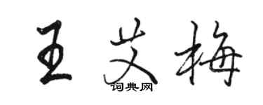 駱恆光王艾梅行書個性簽名怎么寫