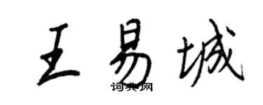 王正良王易城行書個性簽名怎么寫