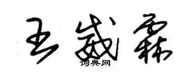 朱錫榮王威霖草書個性簽名怎么寫