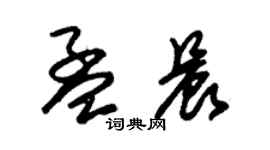 朱錫榮孟晨草書個性簽名怎么寫