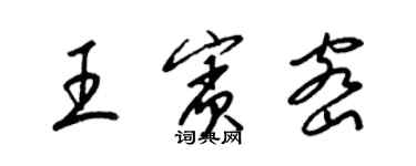 梁錦英王賓密草書個性簽名怎么寫