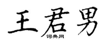 丁謙王君男楷書個性簽名怎么寫