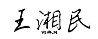 王正良王湘民行書個性簽名怎么寫
