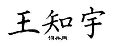 丁謙王知宇楷書個性簽名怎么寫