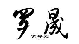 胡問遂羅晟行書個性簽名怎么寫