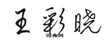 駱恆光王彩曉行書個性簽名怎么寫